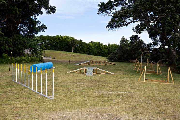 Anthony Cribb's dog agility course installation from headland sculpture on the Gulf, Waiheke Island, Auckland