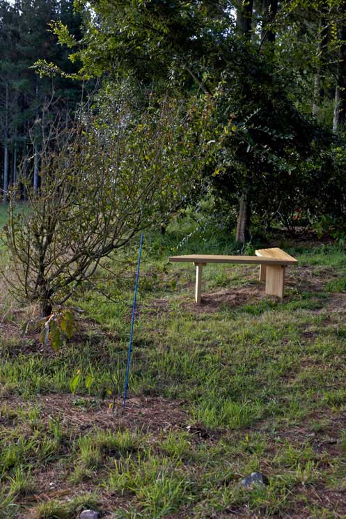 Anthony Cribb's viewing platform and object installation at Waitakaruru sculpture park, Waitakaruru, Waikato